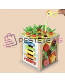 Дървен образователен куб 5в1